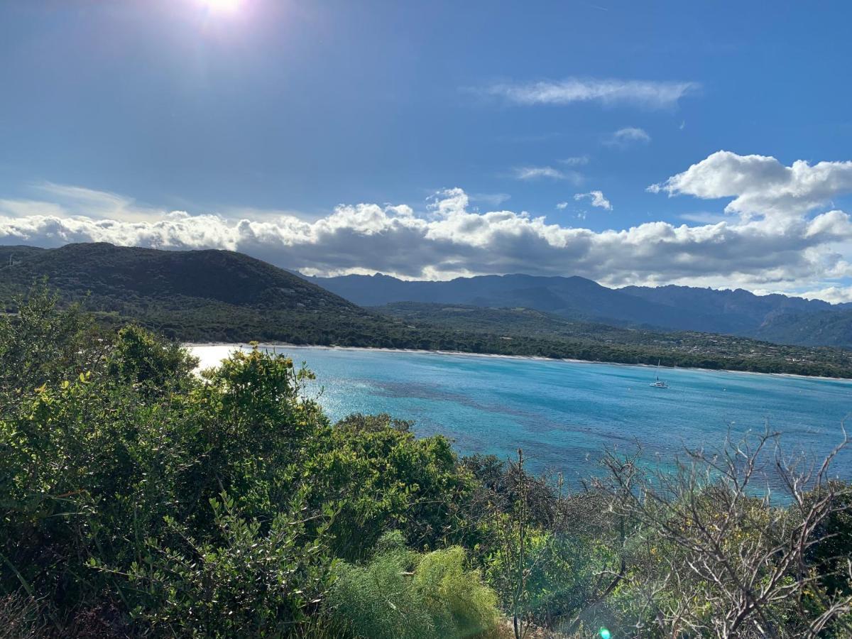 Villa Chez Geraldine Piscine Chauffee, Proche Plage Et Riviere Lecci Kültér fotó